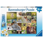 pusle ravensburgeri 200 tk beebiloomad
