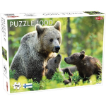 Tactic pusle 1000 tk, Karu pere