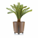 Lillepott Moss, 30x28 cm, pruun