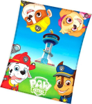 Fliispleed Paw Patrol