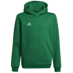 Dressipluus lastele Adidas Entrada 22 Hoody Y Jr HI2143, roheline