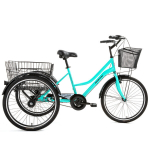 Linnaratas Bisan Porter 24", roheline
