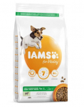 Iams For Vitality v&auml;ikest ja keskmist t&otilde;ugu t&auml;iskasvanud koertele lambalihaga, 12 kg