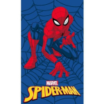 Laster&auml;tik Spiderman 30x50cm