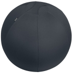 Istumisse pall - Leitz - 65 cm - Tumehall - Toetab kuni 120 kg - T&Uuml;V kaldevastane