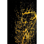 Kilimas (160 x 230) Exfab82