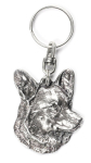 Cardigan Welsh Corgi - H&otilde;betatud ripats