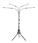 Taimelamp Wolezek BL-J20B, C-sinine