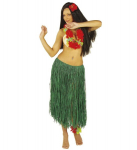 Hawai seelik'Green Color Raffia hula skir'