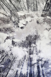 Asir vaip Hmnt787 100x300 cm