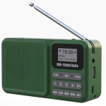 Dab-Raadio P11