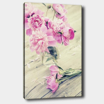 Pilt Pojengid vaasis