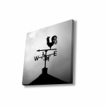 Reproduktsioon Tuulelipp