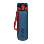 Red Bull Oracle joogipudel 650 ml