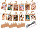 Lhbwhiz fotogirland 1. s&uuml;nnip&auml;eva komplekt, 1 kuni 12 kuu rippuv seinakaunistus fotogirland, beebi esimene j&otilde;upaberi s&uuml;nnip&auml;evagirlandi b&auml;nner, laste igakuine pildirekvisiit, peokaunistuseks