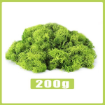 Vmxlso sammal k&auml;sit&ouml;&ouml; jaoks, 200 g islandi sammal k&auml;sit&ouml;&ouml; jaoks, islandi sambla dekoratsioon, s&auml;ilitatud sammal, kunstlik sammal, kunstlik sammal, k&auml;sit&ouml;&ouml;sammal samblapiltide jaoks, isetegemise kaunistus v&otilde;i k&auml;sit&ouml;&ouml; jaoks