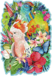 Ravensburger puidust pusle 12000760 - eksootilised linnud - 300 kontuuriga puidust puslet&uuml;kki vastupidavate, individuaalsete puslet&uuml;kkidega, 25 v&auml;ikest puidust kujukest = whimsies, t&auml;iskasvanutele ja lastele alates 12. eluaastast