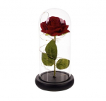 Igavene roos LuminaryGlow, LED-valgustusega klaaskuppel