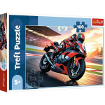 Pusle Trefl motoratas 160 tk