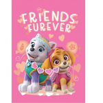 Paw Patrol Friends Furever Laste pleed 100x140 cm
