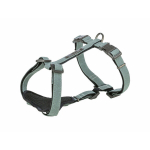 Koera rakmed Trixie CityStyle Arn&eacute;s Roheline XS/S