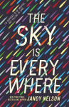 The Sky Is Everywhere, The Sky Is Everywhere
