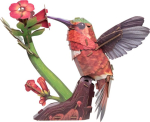 Paberist 3D-pusle Makebug Kolibri MB-D-0058
