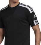 Meeste T-s&auml;rk SQUADRA21JSY GN5720 , must, L
