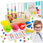 Puidust Montessori sorteerimispusle pallidega, 81 t&uuml;kki, Medinė Montessori rū&scaron;iavimo dėlionė su kamuoliukais, 81 el.