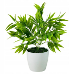 Ruscus kunstlik taim potis, 25 cm - kodu ja kontori kaunistus