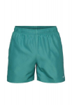 Nike L&uuml;hikesed P&uuml;ksid M Ess 7"Volley Short Green NESSA559 302 NESSA559 302/S