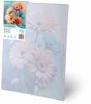 Maalimine numbrite j&auml;rgi 40x50cm koos raamiga
