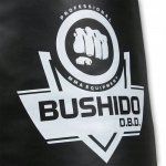 Treeningpoksikott Dbx Bushido 160x40 cm, t&uuml;hi