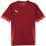 Puma teamGoal Matchday Jersey meeste s&auml;rk, burgundipunane 705747 09