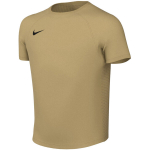 Nike Dri-Fit Park VIII laste s&auml;rk, kuldne, HV8182 729