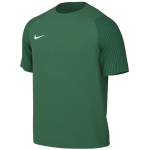 Nike Dri-Fit Academy II meeste s&auml;rk, roheline HV8160 302, XL