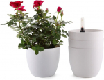 Lillepott T4U PG1310-M