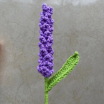 Heegeldatud kimp lavendel, &Scaron;viesiai violetinė