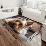 laste vaip, 31,49 * 47,24 colio 80 * 120 cm