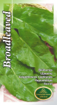 Hapuoblikas Broadleaved