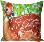 Dekoratiivne padjakate