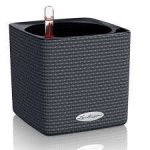 Pott Lechuza Cube Color 14 cm