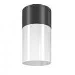 Laevalgusti Willis Maytoni Outdoor O418CL-01B