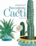 Splendour of Succulents & Cacti