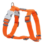 Koera rakmed Red Dingo Oranž