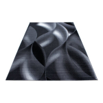 Vaip Plus Black 8008, 200x290 cm