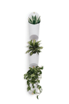Hoiukarp Floralink Umbra, valge