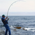 300m/328yd 8 Kiududega Roheline Punutud Kalap&uuml;&uuml;gi N&ouml;&ouml;r, Vastupidav Tugev Nailon Kala N&ouml;&ouml;r, 8BRAID*300M*0,28mm