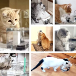 Automaatse filtriga purskkaev kassidele