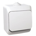 Pinnale paigaldatav pistikupesa kaanega, Schneider Electric Cedar Plus, IP44